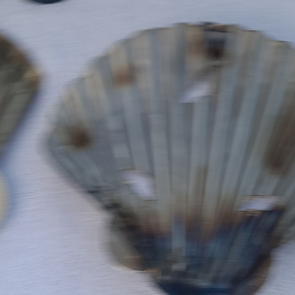 Decorative  Metal Shell Wall Art Set - Picture 6 of 8